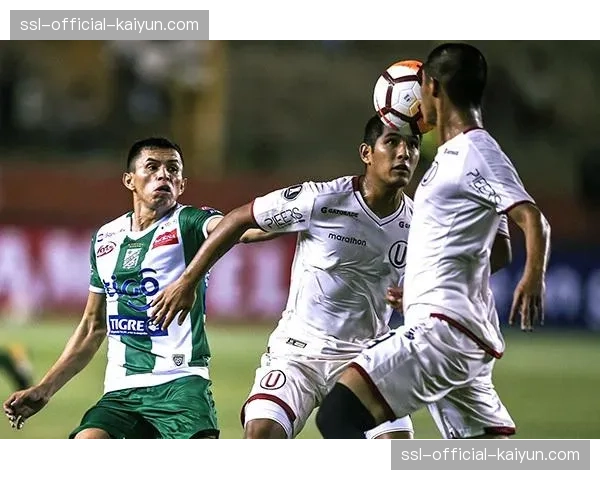 通讯：巴黎索邦大学发布报告，研究足球转播对法国青少年文化认同的影响。